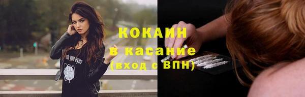 ПСИЛОЦИБИНОВЫЕ ГРИБЫ Абаза