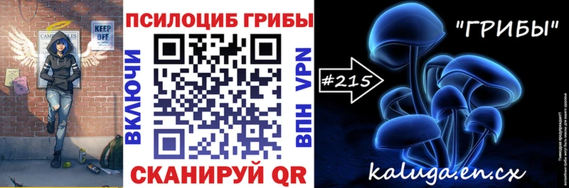 продажа наркотиков  Сальск  Псилоцибиновые грибы MAGIC MUSHROOMS 